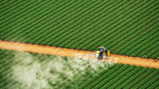 Best Termite Control Services  in Hilliard, FL