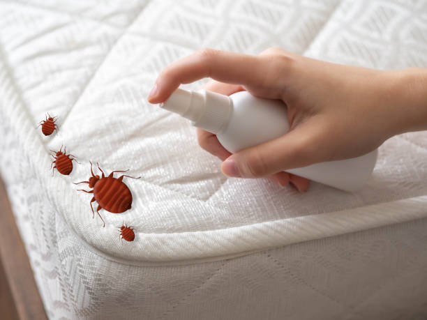 Best Emergency Pest Control  in Hilliard, FL