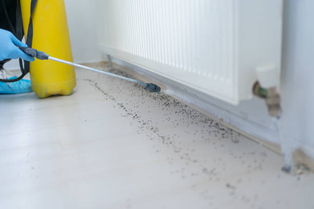 Best Commercial Pest Control Services  in Hilliard, FL