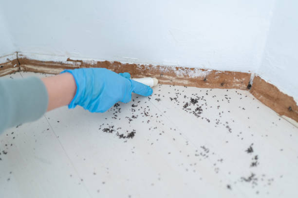 Pest Prevention Services in Hilliard, FL
